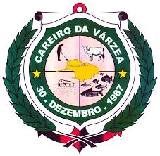 Brasão da Cidade de Careiro da Várzea - AM