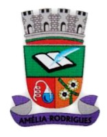 Brasão da Cidade de Amélia Rodrigues - BA