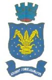 Brasão da Cidade de Muritiba - BA