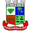 Brasão da Cidade de Pindobaçu - BA