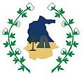 Brasão da Cidade de Itapipoca - CE