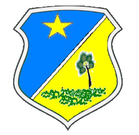 Brasão da Cidade de Pacujá - CE
