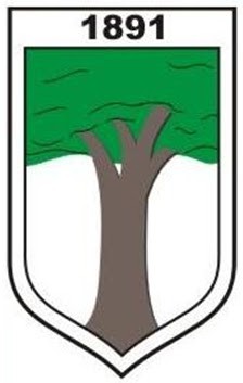 Foto da Cidade de IBIRAcU - ES