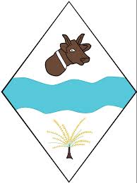 Brasão da Cidade de São Raimundo das Mangabeiras - MA