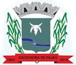 Brasão da Cidade de Cachoeira de Pajeú - MG