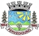 Brasão da Cidade de Fervedouro - MG