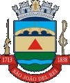 Brasão da Cidade de São João del Rei - MG