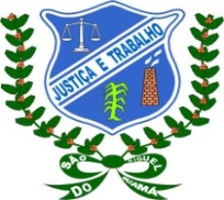 Brasão da Cidade de São Miguel do Guamá - PA