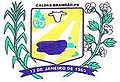 Brasão da Cidade de Caldas Brandão - PB