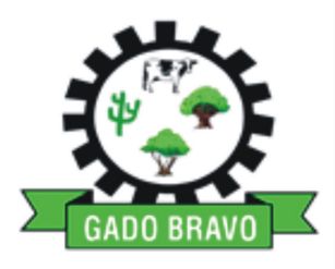 Brasão da Cidade de Gado Bravo - PB