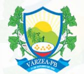 Brasão da Cidade de Várzea - PB