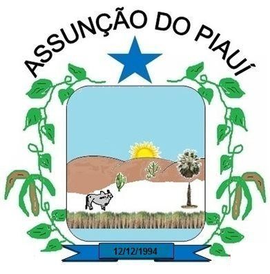 Brasão da Cidade de Assunção do Piauí - PI