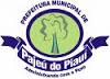 Brasão da Cidade de Pajeú do Piauí - PI