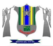 Brasão da Cidade de Sebastião Leal - PI
