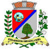 Brasão da Cidade de São João do Ivaí - PR