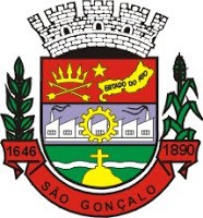 Brasão da Cidade de São Gonçalo - RJ