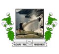 Brasão da Cidade de Acari - RN