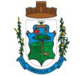 Brasão da Cidade de Esmeralda - RS