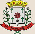 Brasão da Cidade de Pinhalzinho - SC