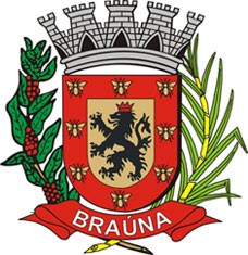 Brasão da Cidade de Braúna - SP