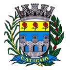 Brasão da Cidade de Catiguá - SP