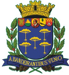 Brasão da Cidade de São Carlos - SP