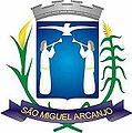 Brasão da Cidade de São Miguel Arcanjo - SP